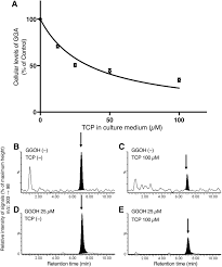 This enables the greatest possible flexibility. Hepatic Monoamine Oxidase B Is Involved In Endogenous Geranylgeranoic Acid Synthesis In Mammalian Liver Cells S Journal Of Lipid Research