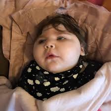 Lucy Walls Fundraiser