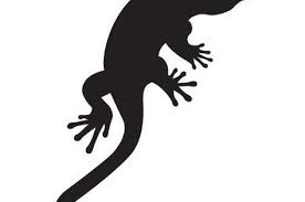 Pochoir Lezard Gratuit A Imprimer Pochoir Silhouette Pochoir Pour Animaux Pochoir