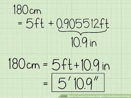 How To Convert Human Height In Centimeters To Feet With