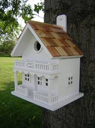 Bird House Kits For Adults Amazon Amazon Com Chalet Birdhouse Bird Houses Patio Lawn Garden Unique Bird Houses Decorative Bird Houses Bird House
