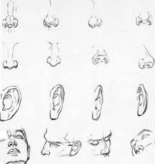And Have Full Porms Drawing The Head And Hands Face Drawing Drawings Anatomy Reference This is easiest for me to understand coloring the nose. and have full porms drawing the head