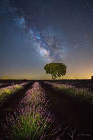 Noches De Lavanda 500px Instagram Flickr Twitter Prints Como Olian Esas Noches De Verano Night Sky Wallpaper Landscape Nature Scenes