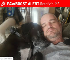 Lost Dog: Marley, White Bull Terrier Mix, Stolen from Backyard