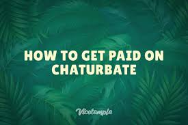 Chaturbate Payout: How To Get Paid On Chaturbate | Vicetemple