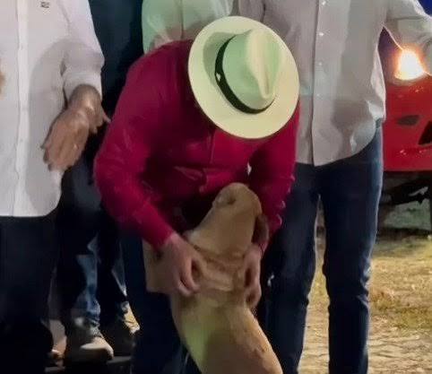 Lula é atacado por animal durante inauguração da Ferrovia Transnordestina
