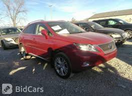 Image result for Matador Red 2010 RX