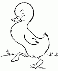 There's something for everyone from beginners to the advanced. Get This Baby Animal Coloring Pages Free Printable 51582