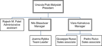 lay out the shapes in your organization chart visio