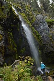 Soak in a forested hot tub near eugene. 20 Best Oregon Waterfall Hikes Hike Oregon