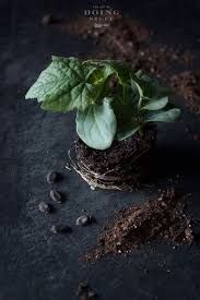You won't need a garden plot or even a sunny window to get growing with our selection of led grow lights, kits and stands in sizes scaled for the home gardener. How To Grow Vegetables Flowers From Seed The Art Of Doing Stuff