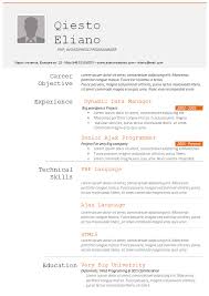 Programmers Resume Template Job Resume Examples Resume Template Job Resume Format