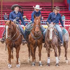 Art Of The Cowgirl Cowgirl Magazine Rodeo Life Rodeo Events Cute Horses