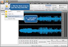Click the 'custom audio' button. How To Merge Several Audio Tracks Into One File With Avs Audio Editor