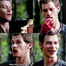 After all the love triangles and vampire bites, 'the vampire diaries' is about to wrap up. Tvd 100 Episodes Trivia I Love Paul So Much Omg Paul Or Ian Vampire Diaries Damon Vampire Diaries The Originals Vampire Diaries