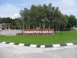 Paya is a traditional food from the indian subcontinent. Entry Taman Paya Bakau Mangrove Forest Park Picture Of Mangrove Swamp Park Lumut Tripadvisor