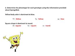 Not doing so falls under 'low effort'. Ppt Spongebob Genetics 1 2 Powerpoint Presentation Free Download Id 525378