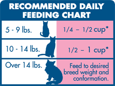 20 Systematic Cat Feeding Chart