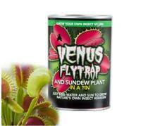 During my last visit to the garden center i encountered some carnivorous plants and wondered if they would nom all the pesky wingers. 6 Fleischfressende Pflanze Sammlung Venus Fly Trap Drosera Capensis Sarracenia Utric Ebay