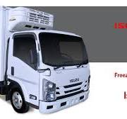 Isuzu - ELF - Freezer Truck - Heavy