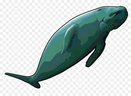 Image result for steller's sea cow
