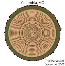 For example, a thunderstorm, a snowstorm, and today's temperature all describe the weather. Https Archive Epa Gov Climatechange Kids Documents Tree Rings Pdf