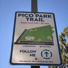 How many people can play pico park