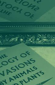 Surely we have all the resources there ever were, just for the taking, josella put in. Https Link Springer Com Content Pdf 10 1007 2f978 3 030 34721 5 Pdf