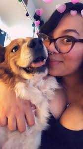 Lost bear in West Sacramento?