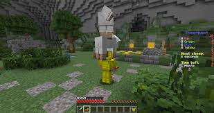 The blocky nature of minecraft cutely replicates the feel of the pokémon games, and makes this genuinely feel like an accurate depiction of a pokémon mmo. Sheepquest Minigame 1 8 1 17 Bungee Multiworld Spigotmc High Performance Minecraft