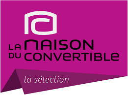 La plus grande reste fixe, tandis que la seconde est escamotable et sert accessoirement de banquette lorsqu'elle est descendue à hauteur. Maison Du Convertible Vendenheim Univers Du Siege Ambiance Literie