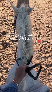 تصميم على حصان in 2021 aesthetic movies horse girl photography girly images