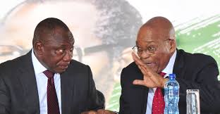 Southern african bishops call for an end to violence and looting. Ojqfdx34hi2llm