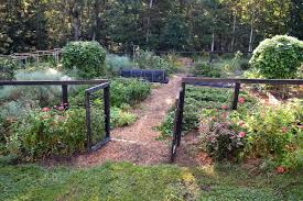 Most pests are just looking for food, so growing literal food in your yard is a great way to get their attention. 6 Tips To Create An Animal Proof Garden Fence The Seasonal Homestead
