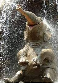 Looks Like This Elephant Is Having A Ball Made So Happy By One Of God S Beautiful Gifts Of Nature Happy Animals Cute Animals Happy Elephant