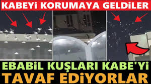 Ebabil Kuslari Kabe Ye Geri Dondu Kabe Yi Tavaf Etmeye Basladilar 13 0 2020 Kus Islam Olay