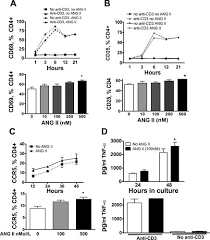 Ang&partners offers services in accounting, tax, audit, consultancy. Regulation Of T Cell Function By Endogenously Produced Angiotensin Ii American Journal Of Physiology Regulatory Integrative And Comparative Physiology