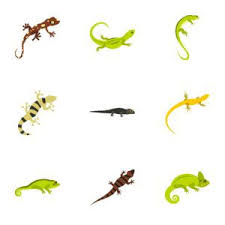 This will reduce their body temperature and render motionless. 12 Home Remedies To Get Rid Of Lizards 7 Commercial Repellents Pest Wiki