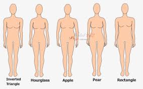 For example, a 2004 study reported that descriptions of female bodies have historically been described in categories based on shapes, such as triangle, rectangle, diamond, oval, and hourglass. Weird Shapes Png Donut Shape Name Transparent Png Kindpng