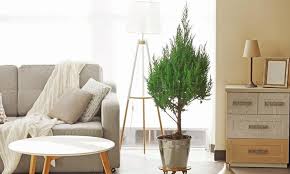 صور ديكور صالات شقق صغيرة مجلة سيدتي