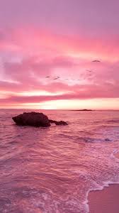 Pink Sunset Phone Wallpaper Beach Wallpaper Aesthetic Wallpapers Beautiful Wallpapers