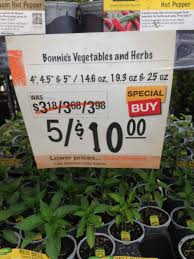 There was lavender, histas, and a few other perennials taht. How To Get The Best Deal On Vegetable Plants Saving The Crumbs