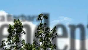 Santa Barbara Independent Real Estate 5/18/23 by SB Independent