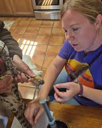The final step of the Eagle Scout Badge is to attach the plaque that  officially marks the completion of the project! It is just about the most  beautiful, and definitely the most