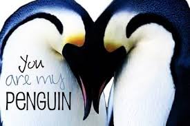Penguin couple penguin love quotes. My Penguin 3 Penguin Love Quotes Penguin Quotes Penguins