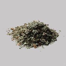 Sweet woodruff is a small perennial that grows to about a foot in height. Galium Odoratum Sweet Woodruff Worldherbals