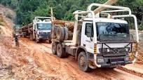 Heavy Loads Truck Logging Mercedes Benz 4043 Actros Recovering by Wheel  Loaders And Bulldozers