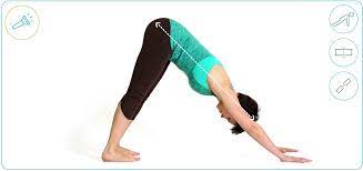 Check spelling or type a new query. Spotlight On A Pose Adho Mukha Svanasana Sequence Wiz