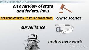 Find the most relevant results with searchandshopping.org. How To Become A Licensed Private Investigator Online