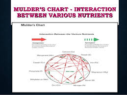 Ways To Increase Micronutrient Use Efficiency